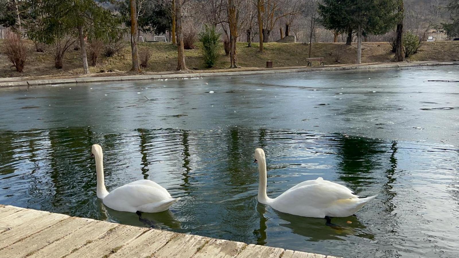 Apartament Del Llac Osséja Esterno foto